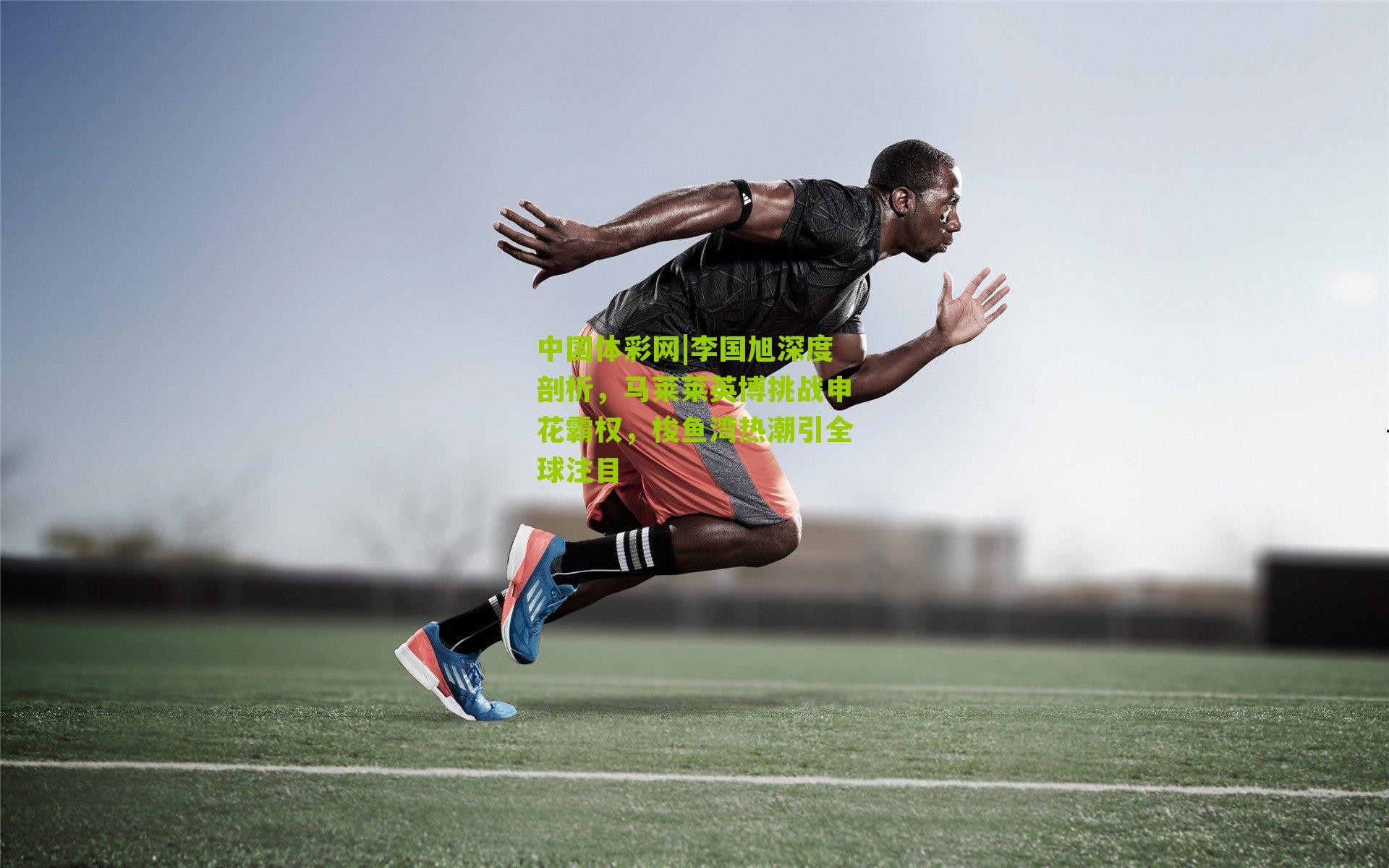 中国体彩网|李国旭深度剖析，马莱莱英博挑战申花霸权，梭鱼湾热潮引全球注目